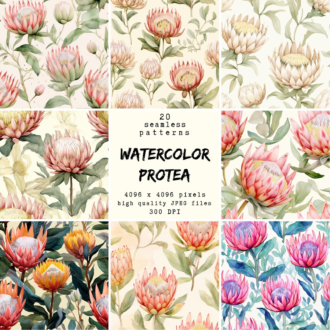Watercolor Protea Pattern - Digital Paper - 20 Seamless Patterns for ...