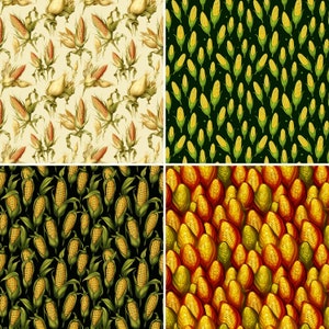 Corn Pattern Digital Paper: 20 Seamless Print Designs (digital Download ...