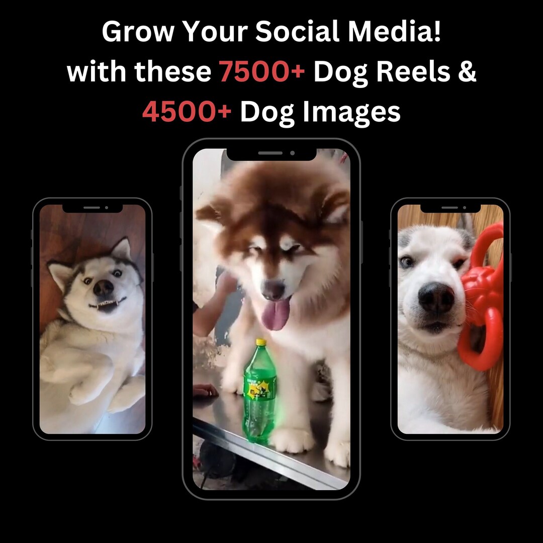7500 Dog Reel & 4500 Dog Image Bundle Etsy