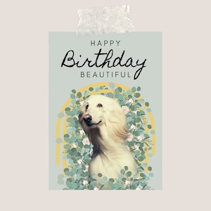 Postkarte A6 380 Gramm - Happy Birthday - Geburtstag - Geburtstagsgrüße - Geburtstagskarte - Alles Gute - Windhund - Hund - MIHO Studio