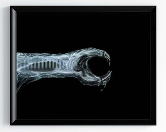 Alien poster xenomorph inner jaw art print