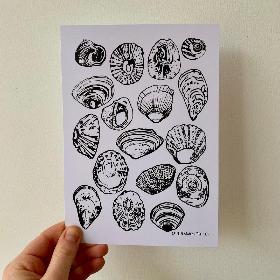 A5 Shell Pattern Print - Etsy