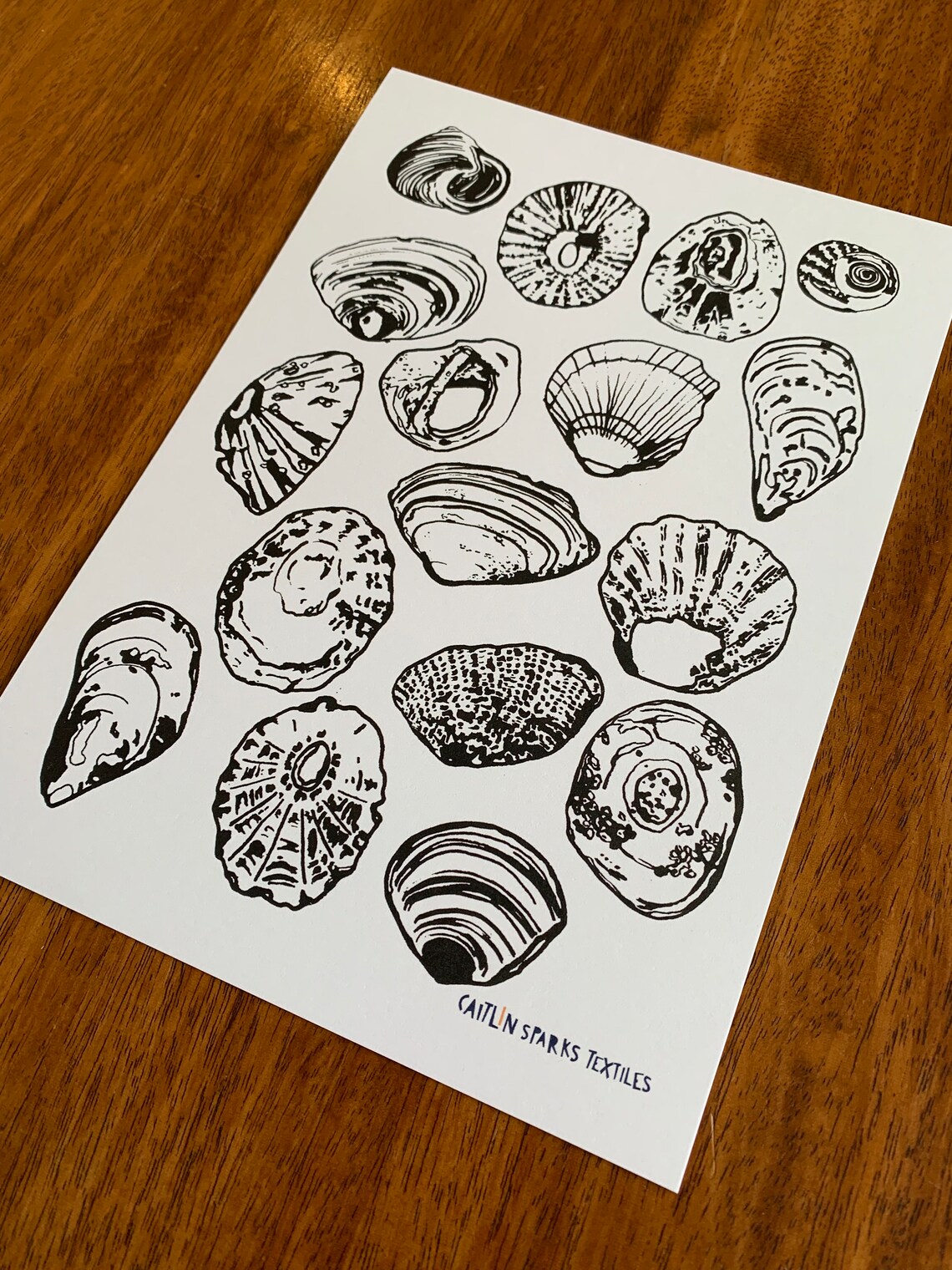 A5 Shell Pattern Print - Etsy