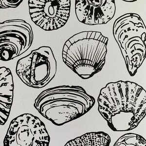 A5 Shell Pattern Print - Etsy