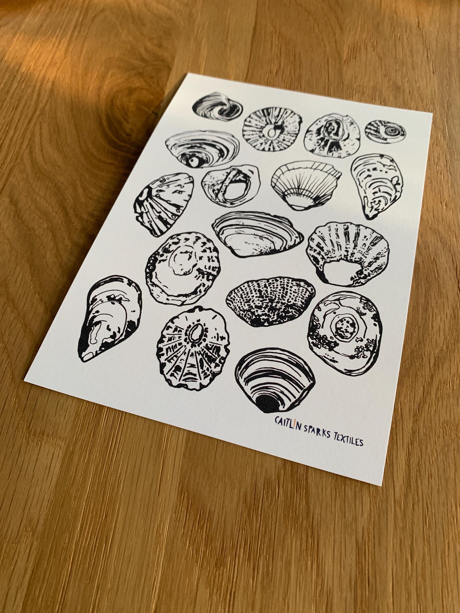 A5 Shell Pattern Print - Etsy