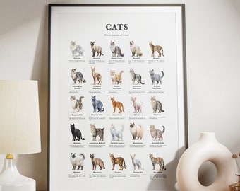 25 Popular Cat Breeds, Cat Breeds Print, Cats Poster, Living Room Art, Cat Breed infographics, Cat Lover Gift. Downloadable