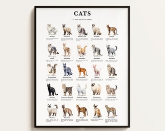25 Popular Cat Breeds, Cat Breeds Print, Cats Poster, Living Room Art, Cat Breed infographics, Cat Lover Gift. Downloadable