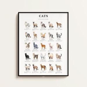 25 razas de gatos populares, impresión de razas de gatos, póster de gatos, arte de sala de estar, infografías de razas de gatos, regalo para amantes de los gatos. Descargable