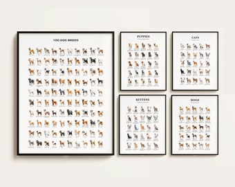 Cats & Dogs poster bundle. 100 Dog Breeds. Veterinarian wall decor. Dog Breeds Infographics. Cat Breeds. Puppies, Kittens Print.Download