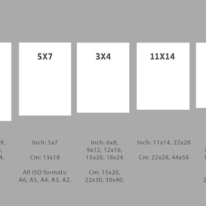 May include: A chart showing different print sizes in inches and centimeters. The sizes are 2x3, 5x7, 3x4, 11x14, and 4x5. The chart also includes common ISO paper sizes for the 5x7 print size.