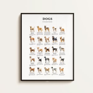 Póster de las 25 razas de perros más populares. Regalo para amantes de los perros. Infografía de razas de perros. Regalo de arte de pared para perros. Descargable.
