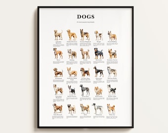 25 Most Popular Dog Breeds Poster. Dog Lover Gift. Dog Breeds Infographics. Dog Wall Art Gift. Downloadable.