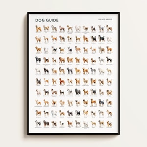 Poster con 100 razze di cani. Regalo per amanti dei cani. Infografiche sulle razze di cani. Stampa sulle razze di cani. Regalo di arte murale per cani. Scaricabile