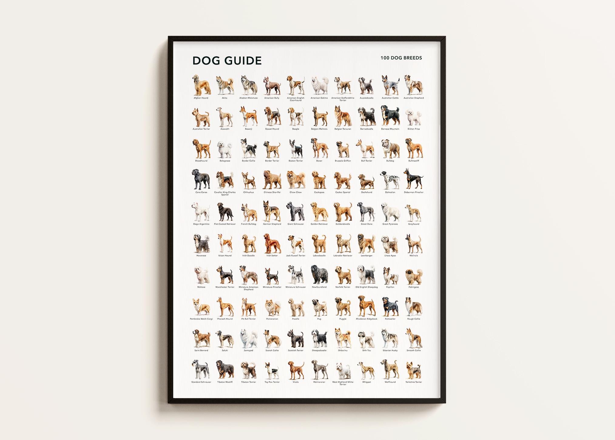 100 Dog Breeds Poster. Dog Lover Gift. Dog Breeds Infographics. Dog Breeds Print. Dog Wall Art Gift. Downloadable