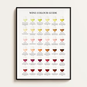 Guía de colores del vino, póster con la tabla de colores del vino, regalo para amantes del vino, clases educativas para sommeliers y conocedores, infografías sobre los tipos y variedades de vino