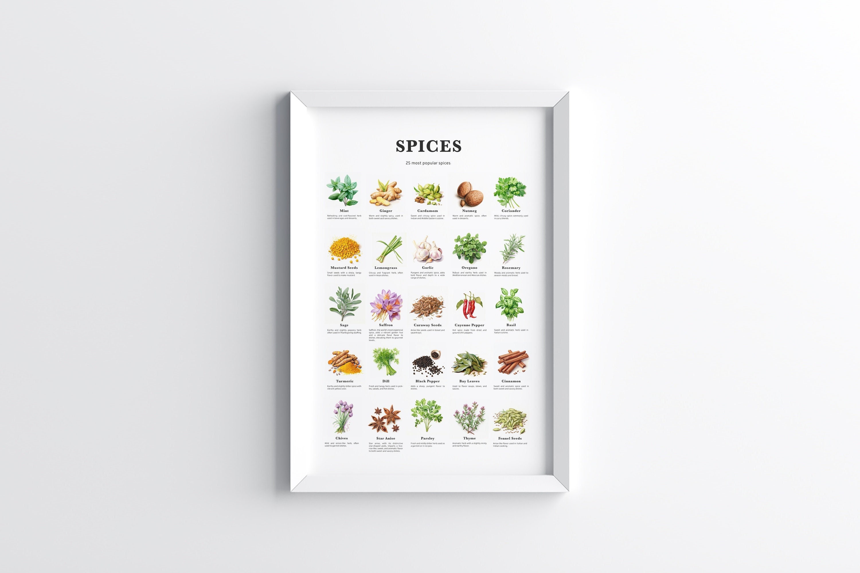 25 Popular Spices Spices Print Spices Poster Kitchen Art - Etsy