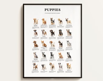 25 Most Popular Dog Breeds as Puppies Poster. Dog/Puppy Lover Gift. Dog Breeds Infographics. Puppy Wall Art Gift. Downloadable.