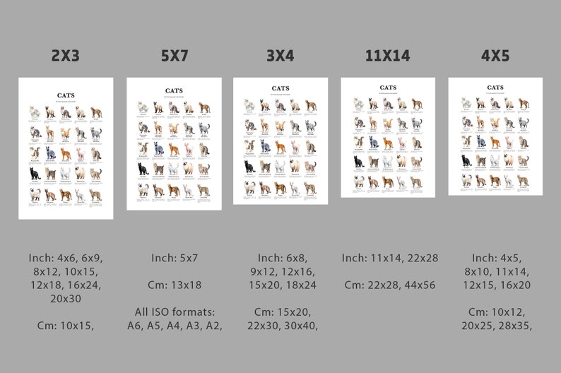 Cat Breeds Print, Popular Cats Poster, Living Room Art (downloadable ...