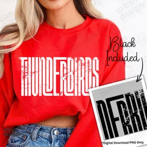 Thunderbirds Vintage Retro PNG Distressed Trendy DTF digital high resolution vintage Thunderbirds png digital design types of birds