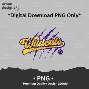 Wildcats Lantejoulas de glitter falso realistas, remendo falso esporte atlético PNG, DTF digital, alta resolução, sublimação 300dpi, wildcats png