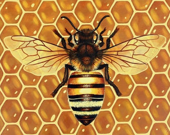 Honey Bee | Fine Art Print | 8 x 10 or 11 x 14