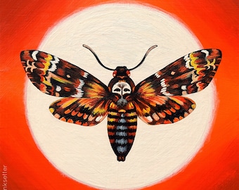 Death’s Head Moth | Fine Art Print | 8 x 8
