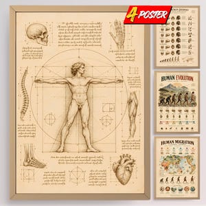 May include: A set of four beige posters featuring anatomical and historical illustrations. The main poster displays the Vitruvian Man with surrounding sketches of a skull, hand, spine, leg, foot, and heart. Other posters show human evolution and migration.