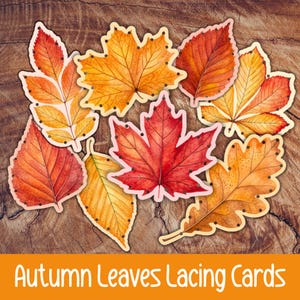 May include: A selection of autumn-themed lacing cards in the shape of leaves. The leaves are in shades of red, orange, and yellow, with small holes for lacing. The text "Autumn Leaves Lacing Cards" is displayed at the bottom.