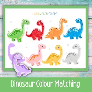 Puede incluir: Un colorido gráfico educativo con dinosaurios de dibujos animados en varios colores. El texto "I can match colors" está en la parte superior y "Dinosaur Colour Matching" en la inferior. Los dinosaurios son verdes, rojos, naranjas, azules, morados, rosas, amarillos y grises.