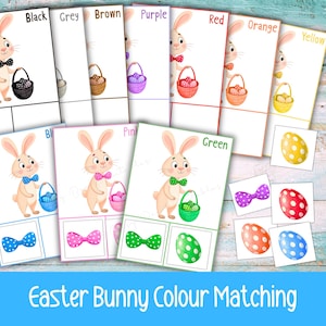 May include: Easter Bunny Colour Matching game with cards showing bunnies, baskets, and eggs in different colours. The cards display black, grey, brown, purple, red, orange, yellow, blue, pink, and green. Matching bow ties and eggs are also included.
