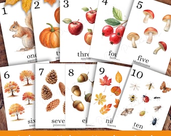 Tarjetas numéricas de otoño, actividades preescolares imprimibles, tarjetas de conteo de otoño, tarjetas didácticas de números para el aula para niños