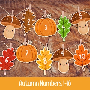 May include: A decorative garland featuring ten cutouts of autumn-themed items including mushrooms, pumpkins, and leaves, each numbered one through ten in white. The cutouts are attached to a black and white twine string with small wooden clips.