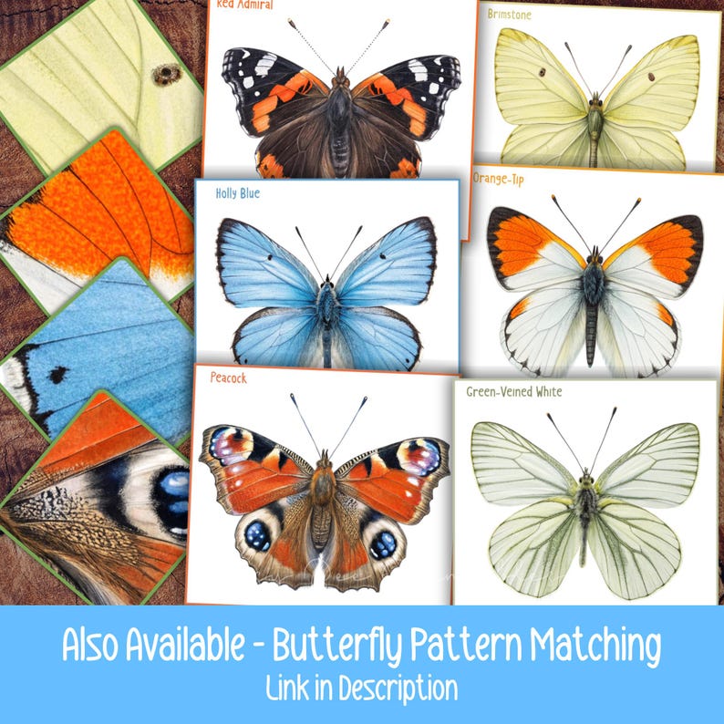 Insects Matching Activity for Kids, Bugs Pattern Matching Game, Spring ...