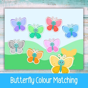 Può includere: Un colorato gioco educativo con otto farfalle dei cartoni animati in vari colori, tra cui viola, verde, rosa e blu, con facce sorridenti. Le farfalle sono su uno sfondo azzurro e erba verde. Il testo "Butterfly Colour Matching" è in basso.