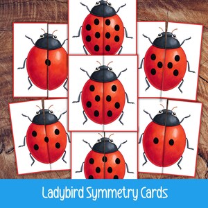 May include: Ladybug symmetry cards arranged on a wooden surface. Each card features a red ladybug with black spots and a black head. The cards are divided into two halves, showcasing the ladybug's symmetrical design. The text "Ladybird Symmetry Cards" is at the bottom.