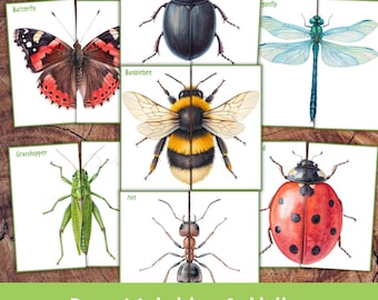 May include: A Bugs Matching Activity game featuring colorful illustrations of insects. The game includes a butterfly, beetle, dragonfly, bumblebee, grasshopper, ant, and ladybug. The text "Bugs Matching Activity" is at the bottom.