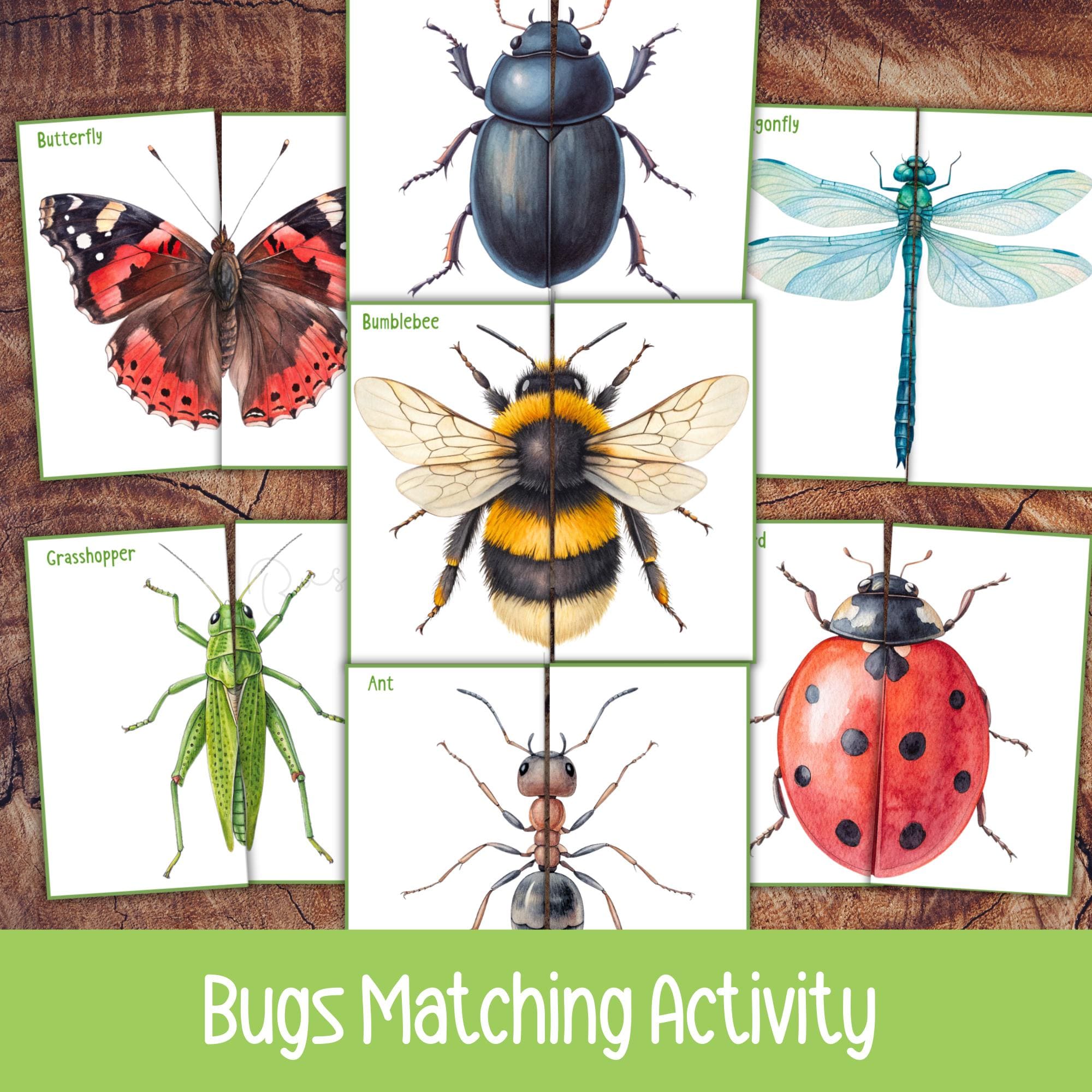 Spring Insect Matching Insects Matching Activity, Bugs Matching Game, Spring Preschool ...
