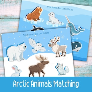 Arctic Animal Matching Game, Shadow Matching Activity, Winter Preschool Learning Printable, Animal Habitats