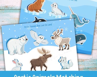 Arctic Animal Matching Game, Shadow Matching Activity, Winter Preschool Learning Printable, Animal Habitats