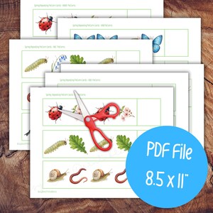 May include: Printable pattern cards featuring spring-themed illustrations of ladybirds, butterflies, caterpillars, and snails. A pair of red scissors rests on the cards. The blue circle indicates the PDF file size is 21.6 x 27.9 cm.