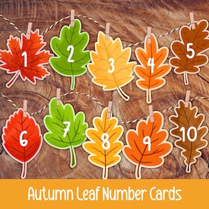 May include: Ten paper leaf cutouts in various autumn colors including red, orange, yellow, and green, each featuring a white number from 1 to 10. The leaves are attached to a black and white twine string with small wooden clothespins.