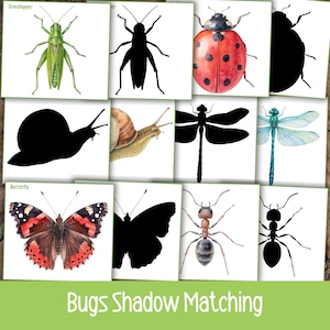 Puede incluir: Conjunto de tarjetas ilustradas con insectos como un saltamontes, una mariquita y una mariposa, junto con sus siluetas negras. El texto "Bugs Shadow Matching" se muestra en la parte inferior.