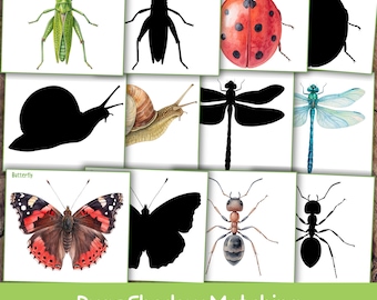 May include: A set of illustrated cards featuring various bugs, including a grasshopper, ladybug, butterfly, and ant, alongside their corresponding black silhouettes. The text "Bugs Shadow Matching" is at the bottom.