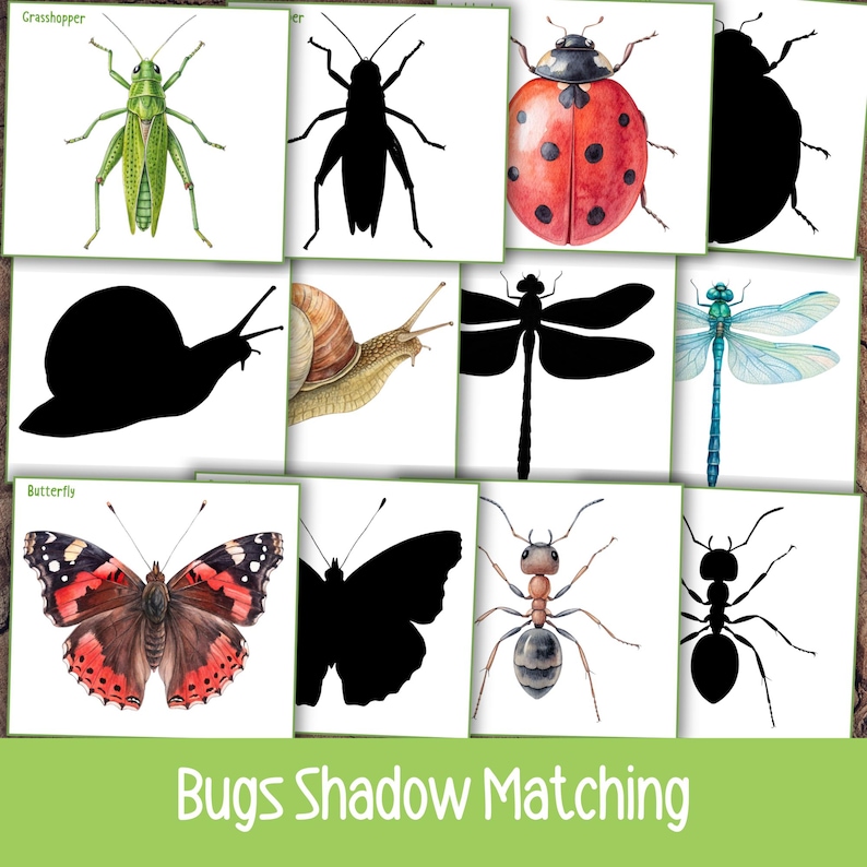 Bug Matching Craft Bug Shadow Matching Cards, Montessori Printable Toddler Activity ...