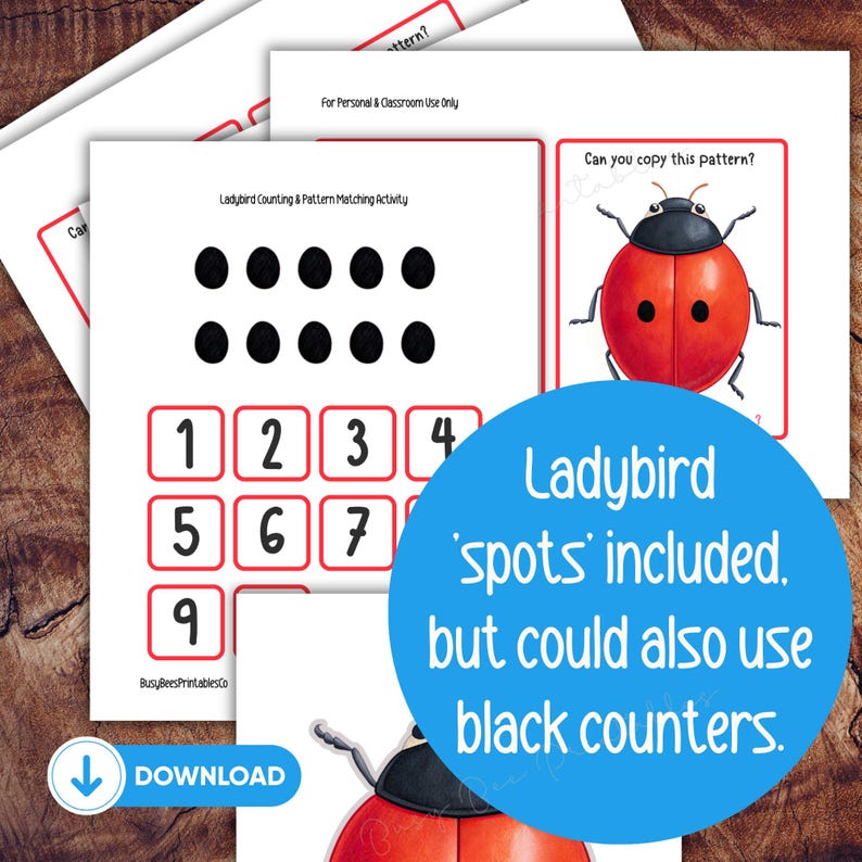 Ladybird Counting Activity, Preschool Math Printable, Matching Game for ...