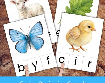 May include: Flashcards for early learning with spring images: a lamb, a butterfly, a leaf, and a chick. Each card has a word with letters. The blue banner at the bottom reads "Spring Beginning Sounds".