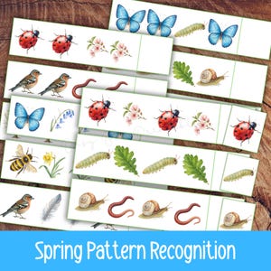 May include: A collection of white cards with watercolor illustrations of spring elements, including butterflies, ladybugs, birds, and flowers. The cards are labeled "Spring Pattern Recognition" in a blue font, ideal for educational activities.