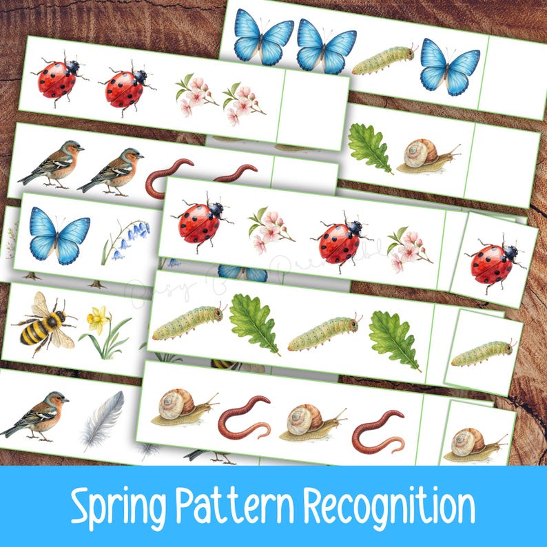 May include: A set of white cards featuring watercolour illustrations of spring motifs such as butterflies, ladybirds, birds, and flowers. The cards are labelled "Spring Pattern Recognition" in blue, suitable for educational use.