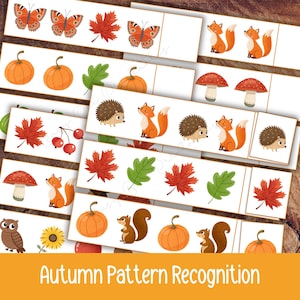 May include: A set of rectangular cards featuring autumn-themed illustrations including orange pumpkins, red maple leaves, green oak leaves, foxes, hedgehogs, squirrels, owls, mushrooms, butterflies, and sunflowers, with the text Autumn Pattern Recognition.