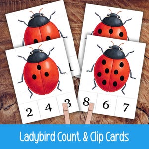 May include: Ladybug count and clip cards featuring red ladybugs with black spots and numbers 2, 3, 4, 6, 7, and 8. The cards are designed for educational activities, with wooden clothespins for clipping.